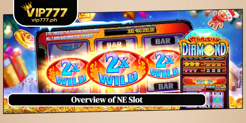Overview of NE Slot