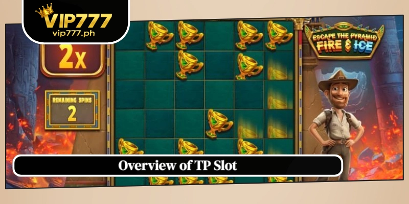 Overview of TP Slot