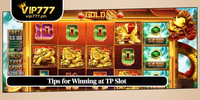 Tips for Winning at TP Slot