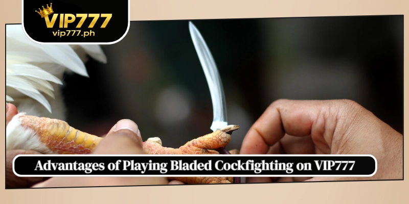 Advantages of Playing Bladed Cockfighting on VIP777