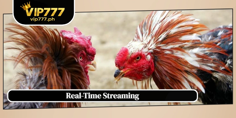 Real-Time Streaming