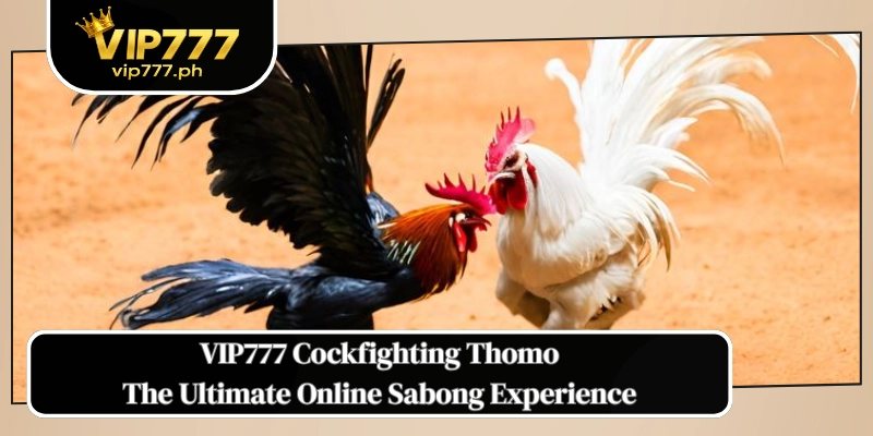 VIP777 Cockfighting Thomo