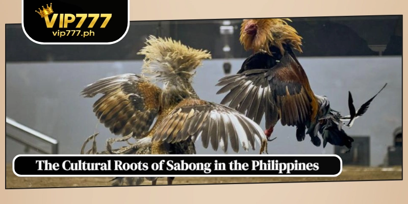 The Cultural Roots of Sabong in the Philippines