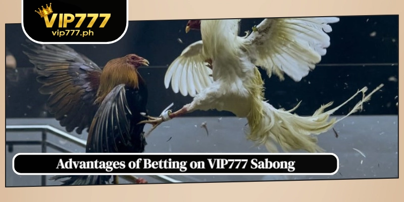 Advantages of Betting on VIP777 Sabong