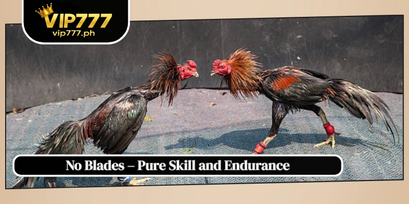 No Blades – Pure Skill and Endurance